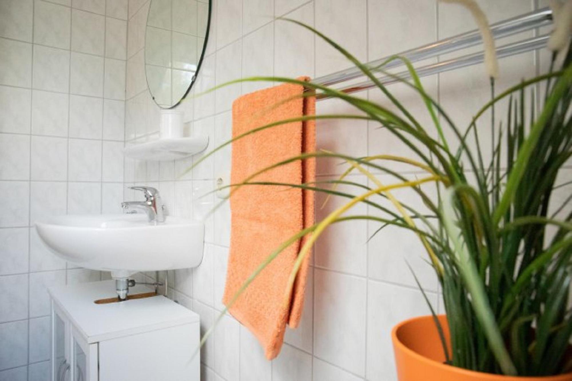 Reiterhof Ekenhoff Apartment Moorweg Ngoại thất bức ảnh